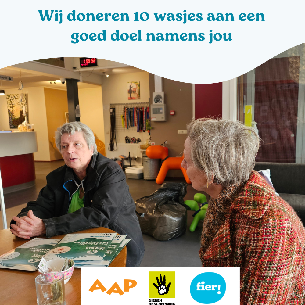 Milieuvriendelijke Vaatwasstrips