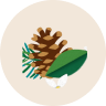 variant